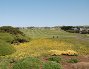 180 Surfbird Court Photo