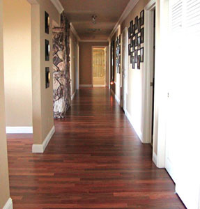 20306 Osprey Drive Photo