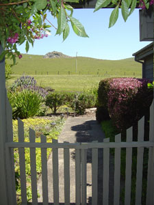 20306 Osprey Drive Photo